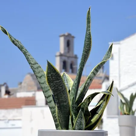 Attico Cinquantasei צ'יסטרנינו